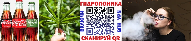 как найти закладки  Болгар  Еда ТГК марихуана 