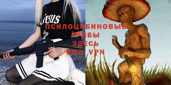 гидра Алзамай