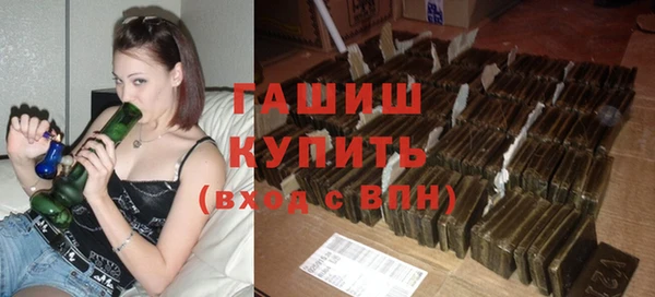 индика Абинск