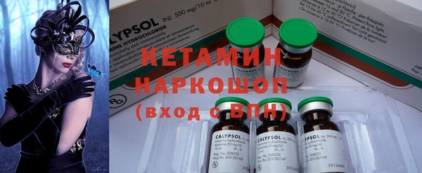 индика Абинск