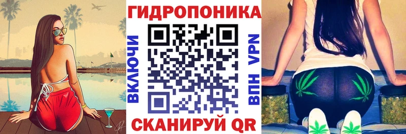 Канабис OG Kush  блэк спрут   Болгар 